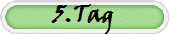 5.Tag