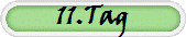 11.Tag