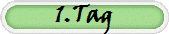 1.Tag